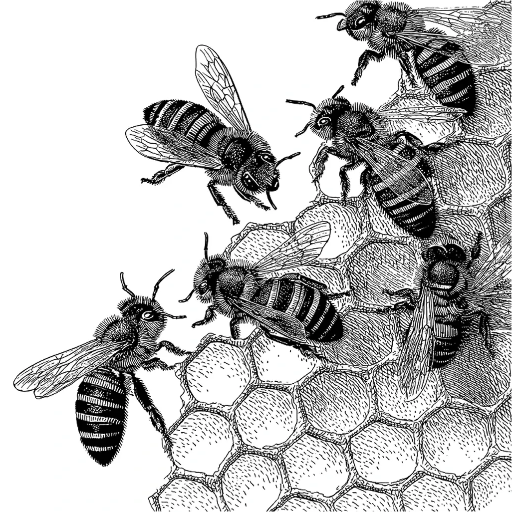 Case management and underwriting