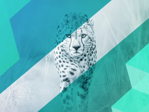 Agility and Control in Credit Decisioning – A Strategic Advantage for Risk Teams