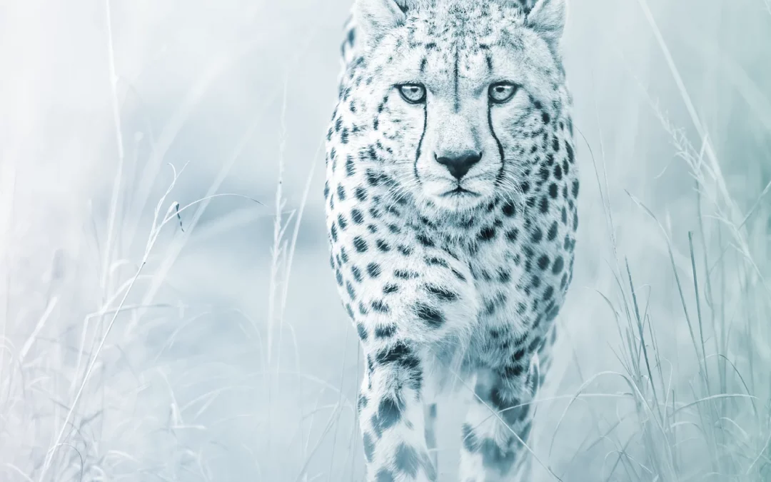 Agility and Control in Credit Decisioning – A Strategic Advantage for Risk Teams