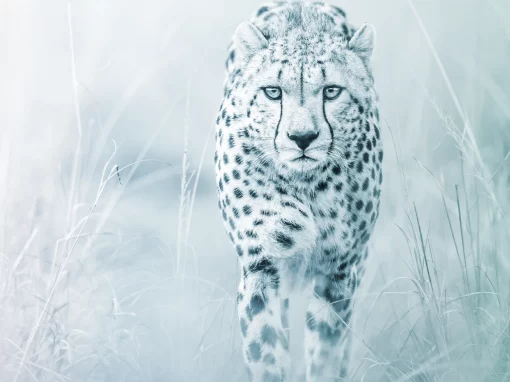 Agility and Control in Credit Decisioning – A Strategic Advantage for Risk Teams